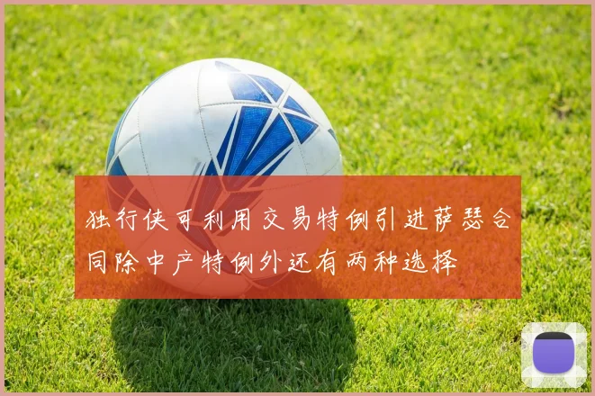 独行侠可利用交易特例引进萨瑟合同除中产特例外还有两种选择