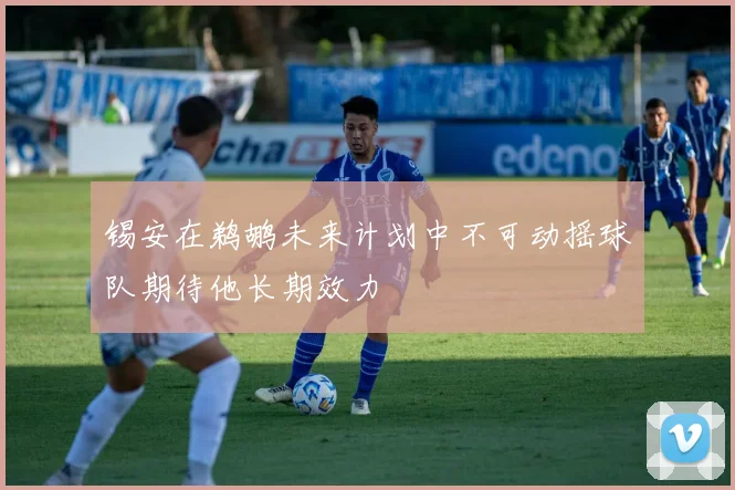 锡安在鹈鹕未来计划中不可动摇球队期待他长期效力